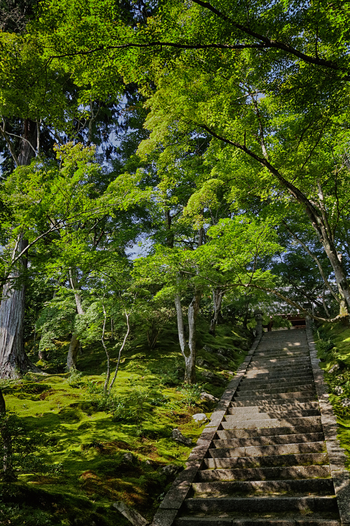 Kyoto waiting for autumn-2