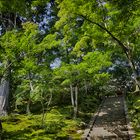 Kyoto waiting for autumn-2