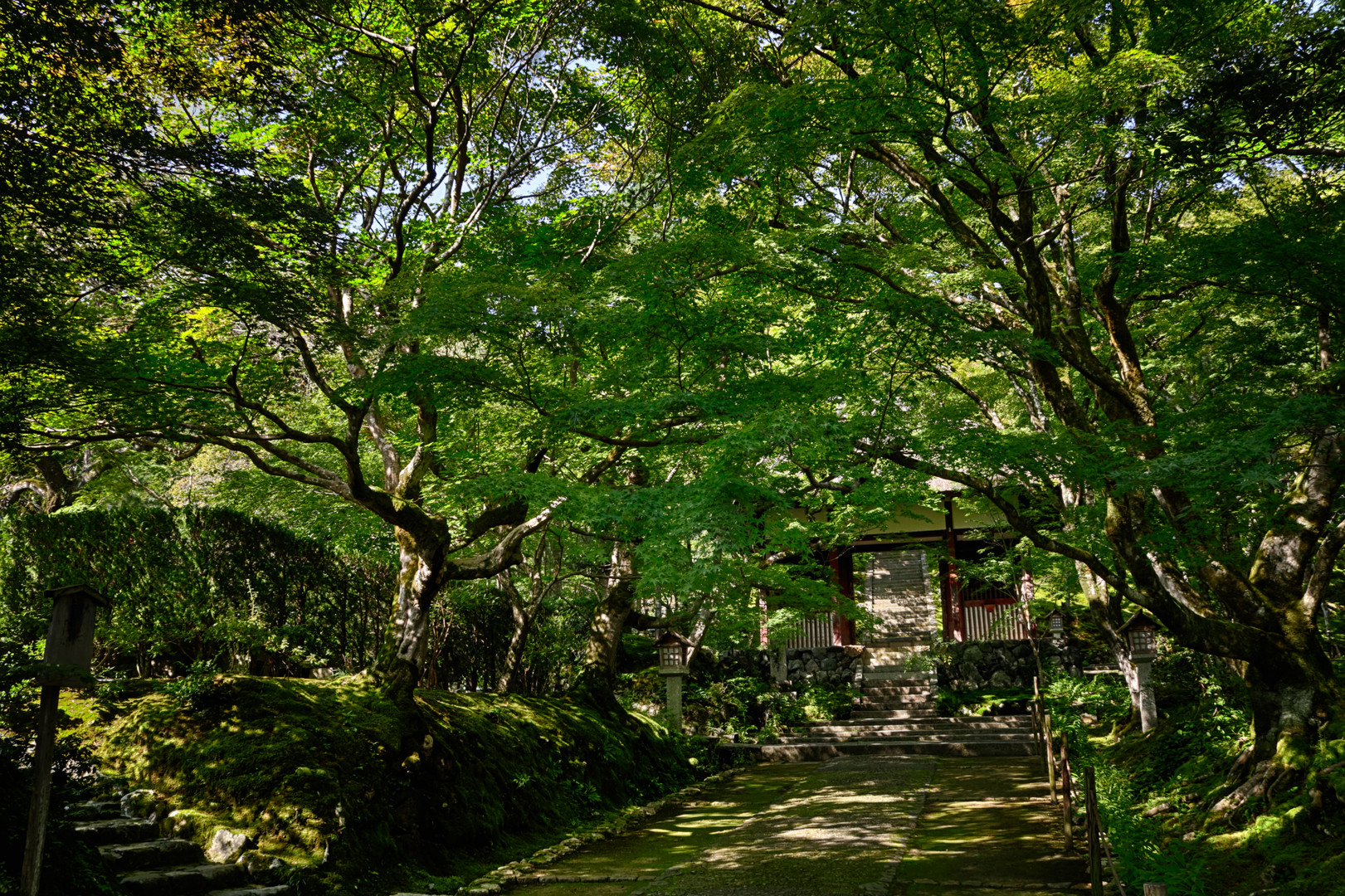 Kyoto waiting for autumn-3