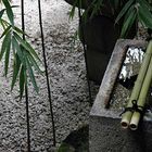 Kyoto: Zen-Garten