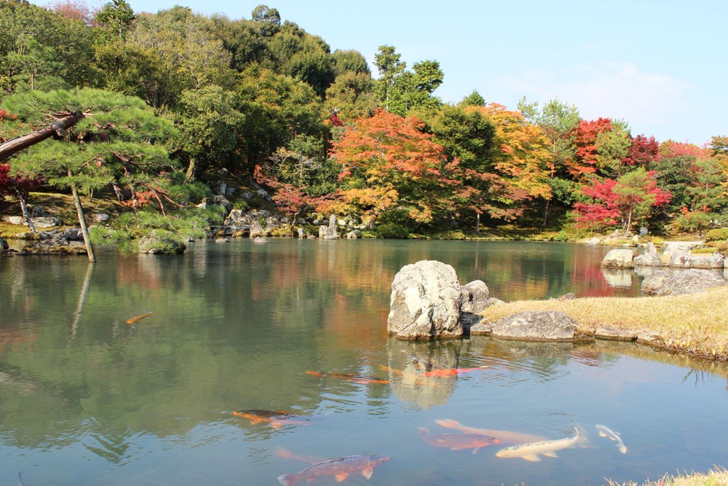 Kyotos schönster Park