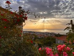 Kyparissia