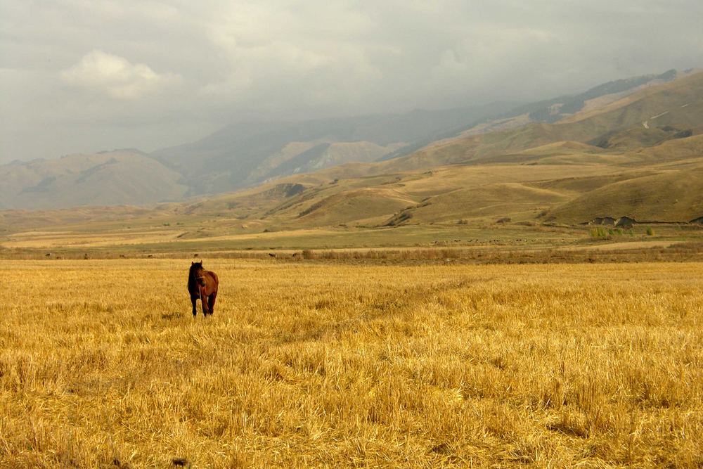 Kyrgyzstan