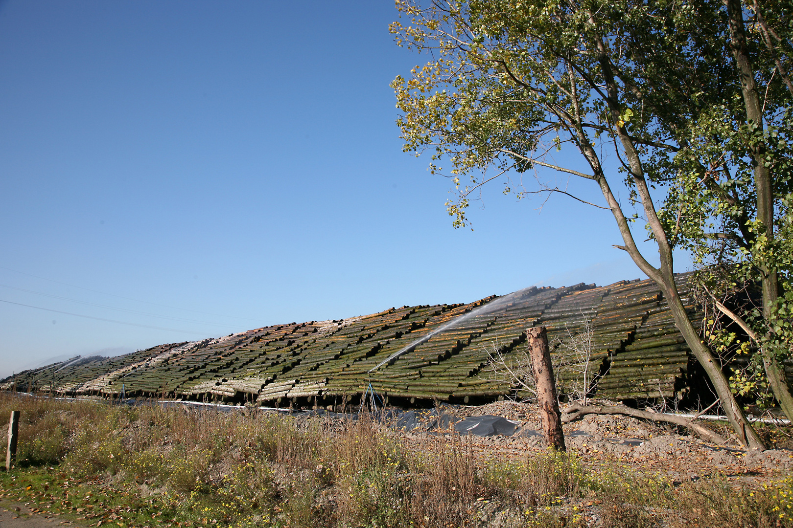 " Kyrill ( Holz ) vor der Hüttn. "