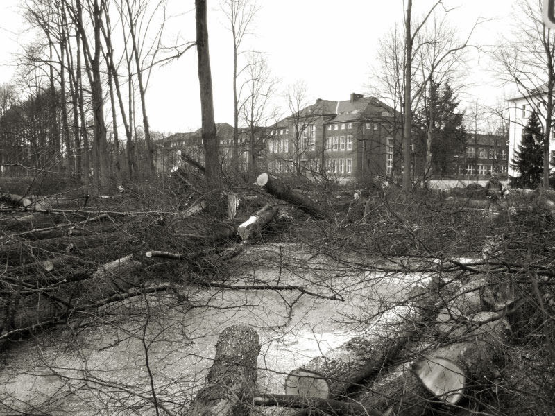 Kyrill und die Promenade in Münster