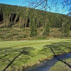 Kyrillschäden im Sauerland