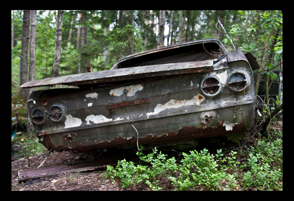 Kyrkömosse Autofriedhof 2