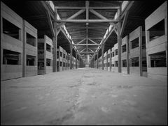 kz auschwitz-birkenau - 2011 (1)