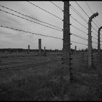 kz auschwitz-birkenau - 2011 (2)