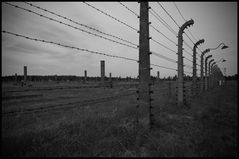 kz auschwitz-birkenau - 2011 (2)