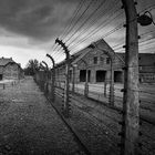 KZ Auschwitz-Birkenau (3)