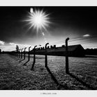 KZ Auschwitz-Birkenau