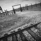 KZ Auschwitz-Birkenau (7)