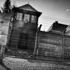 KZ Auschwitz-Birkenau (9)