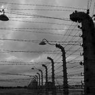 KZ Auschwitz-Birkenau