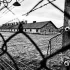 KZ Birkenau