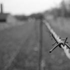 KZ Buchenwald #03