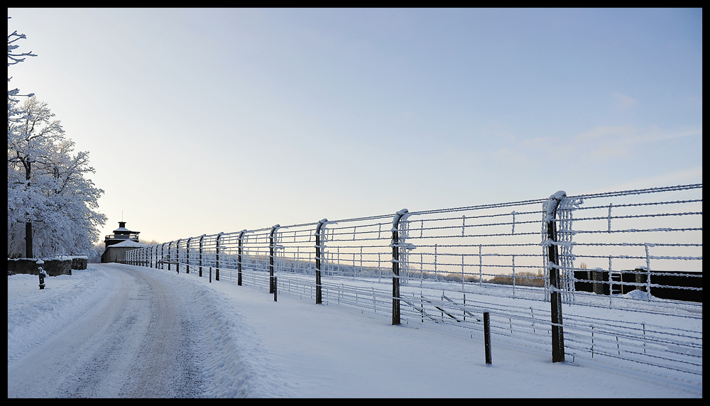 KZ Buchenwald