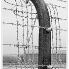 KZ Buchenwald IV