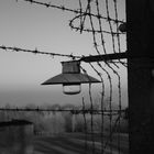 KZ Buchenwald, Zaunanlage