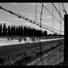 ... kz dachau - 034sw ...