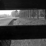 KZ Dachau (1)