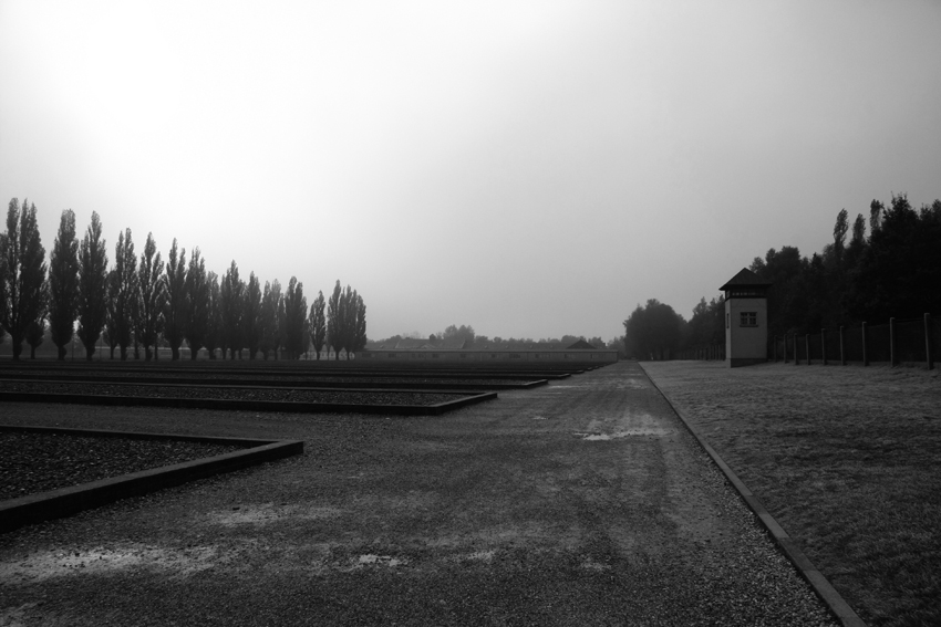 KZ Dachau 6.......