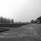 KZ Dachau 6.......