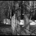 KZ-Dachau_d_2005