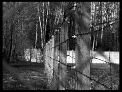 KZ-Dachau_d_2005