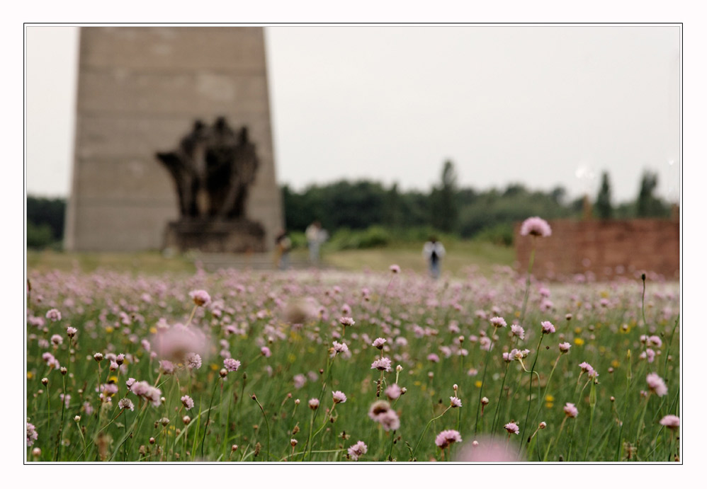 kz sachsenhausen