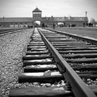 KZ_Birkenau