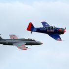 L-26 Delfin und T6