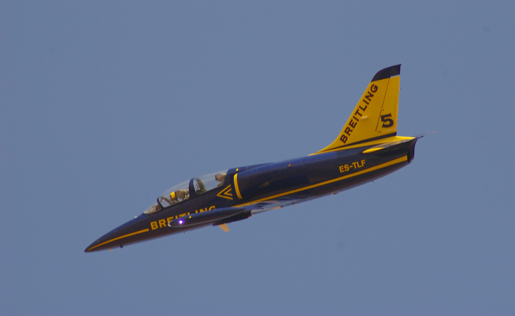 L-39 C Albatros @ Al Ain Airshow