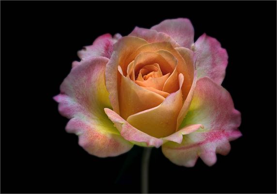 L A N D L U S T  - ( Stacking Bild ) 