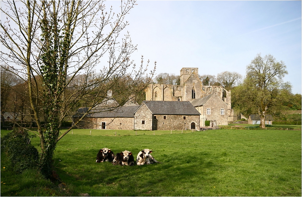 " L' abbaye de Hambye dans son écrin de verdure "