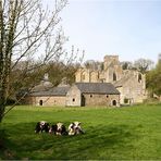 " L' abbaye de Hambye dans son écrin de verdure "