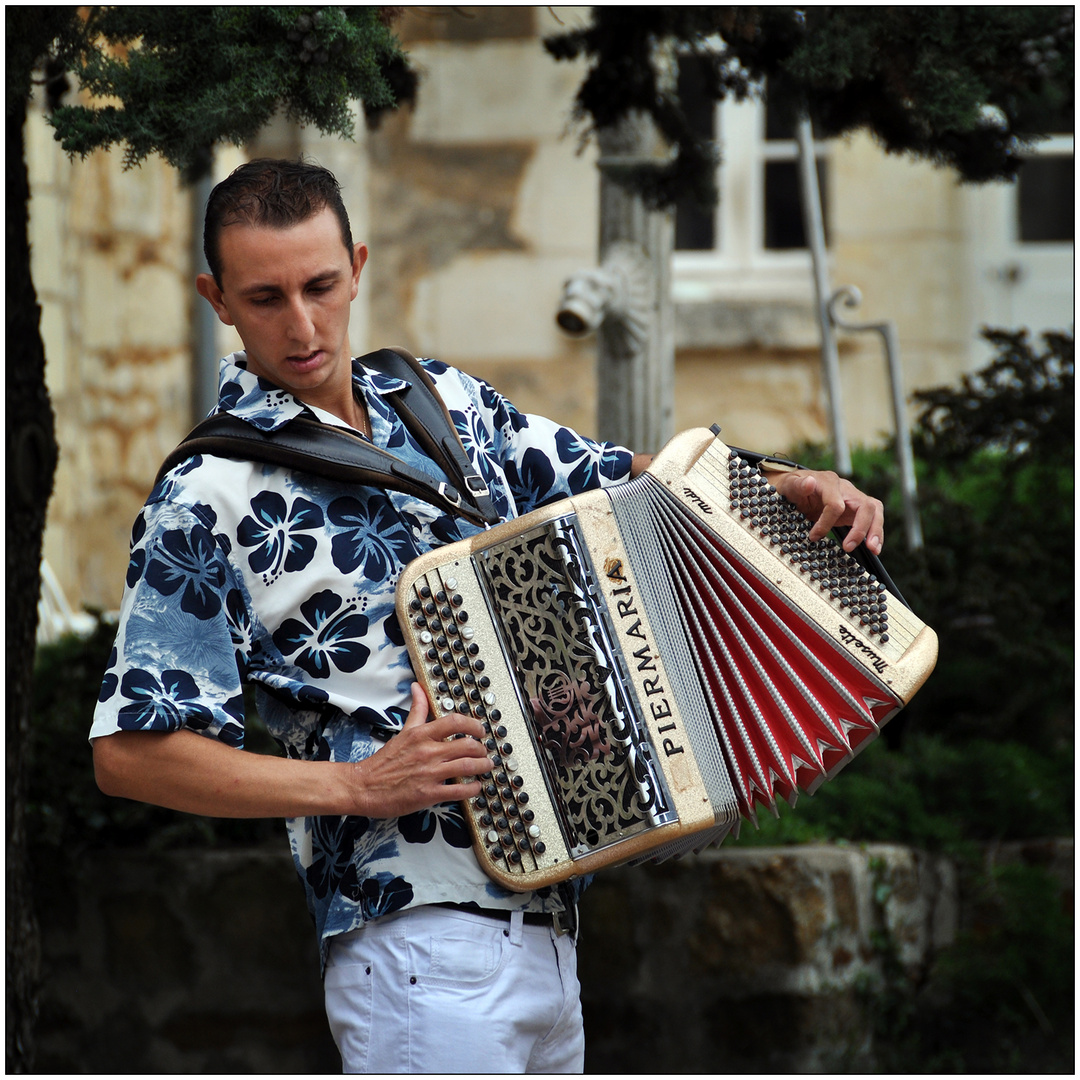 L' Accordeoniste