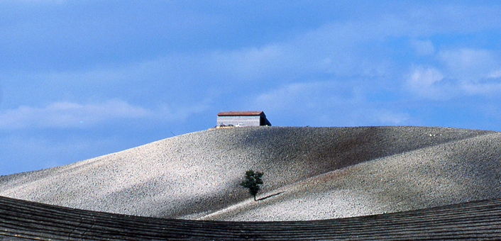 L' albero