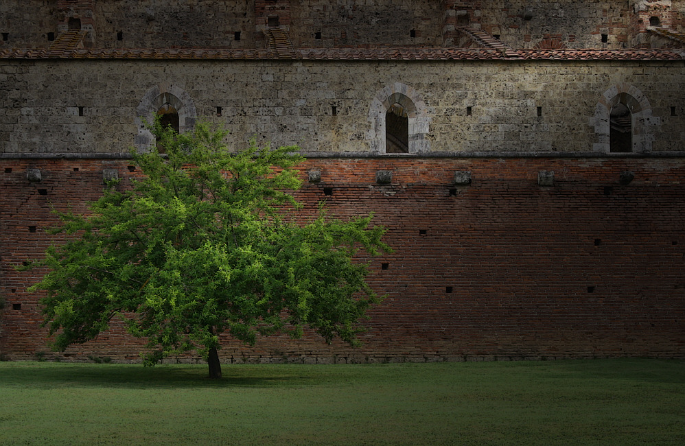 l' albero