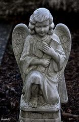 l' angelot