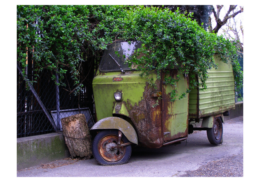 L' ape e la natura