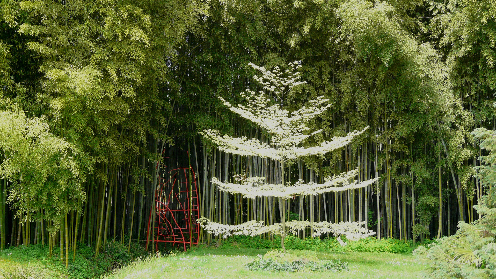 L' arbre lumineux.