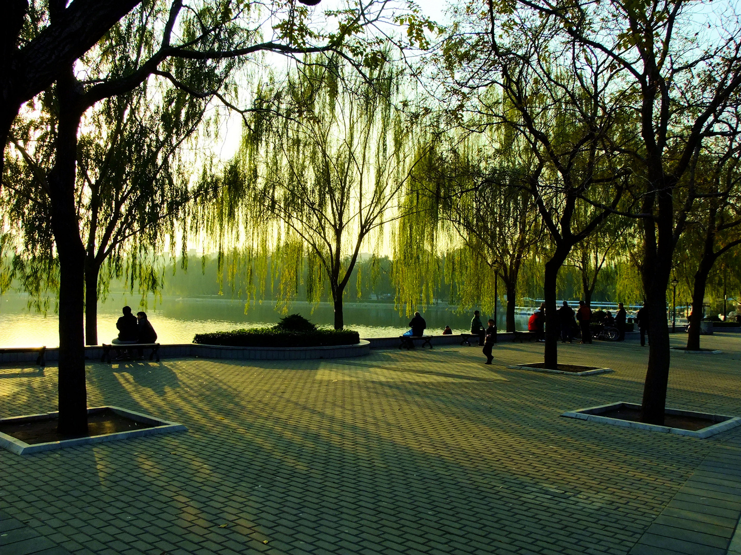 L' automne a Beijing. 2