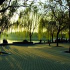 L' automne a Beijing. 2