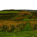L AUTOMNE ARRIVE A GRAND PAS DANS LE JURA