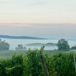 L AUTOMNE ARRIVE TOUT DOUCEMENT