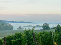 L AUTOMNE ARRIVE TOUT DOUCEMENT