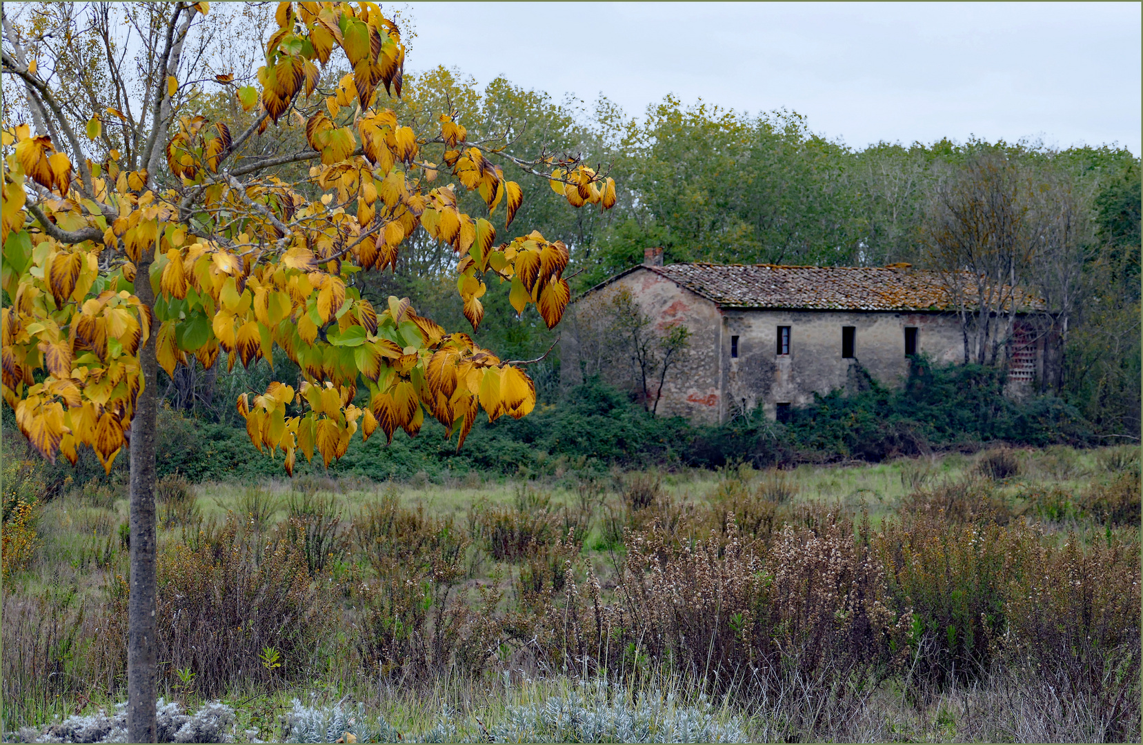  l automne d une vieille ferme ....