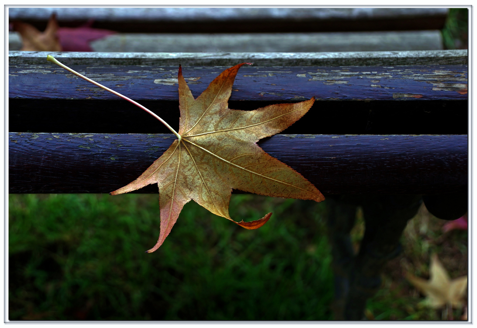 l automne est bien là...